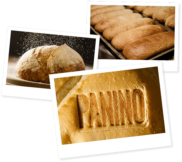 Historia Franquicias